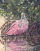 Pink in the Mangroves 20"x16